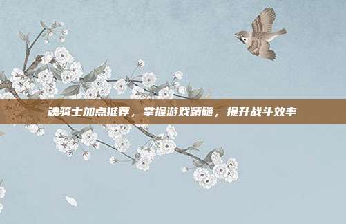 魂骑士加点推荐，掌握游戏精髓，提升战斗效率