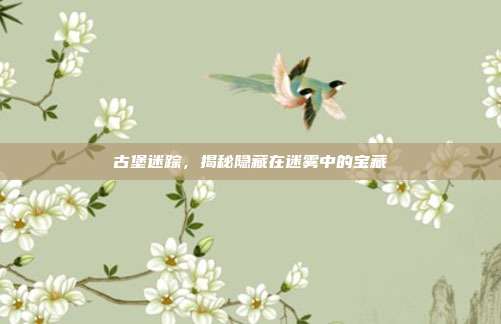 古堡迷踪,揭秘隐藏在迷雾中的宝藏
