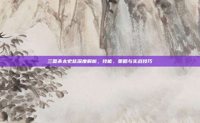 三国杀太史慈深度解析,技能、策略与实战技巧