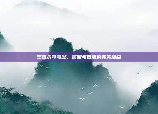 三国杀司马懿,策略与智谋的完美结合