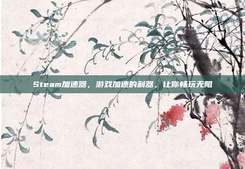 Steam加速器，游戏加速的利器，让你畅玩无阻