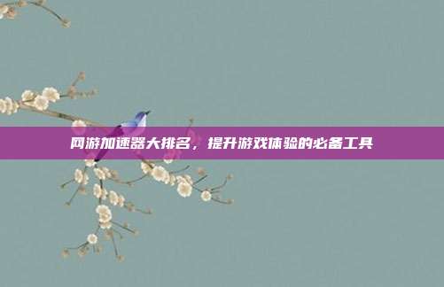 网游加速器大排名，提升游戏体验的必备工具
