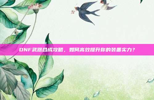 DNF武器合成攻略，如何高效提升你的装备实力？