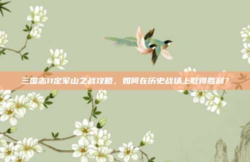 三国志11定军山之战攻略，如何在历史战场上取得胜利？