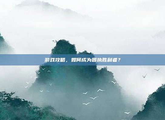 游戏攻略，如何成为固执胜利者？
