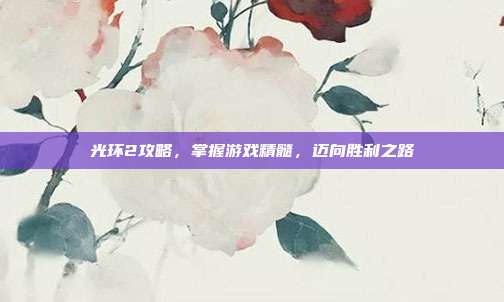 光环2攻略,掌握游戏精髓,迈向胜利之路