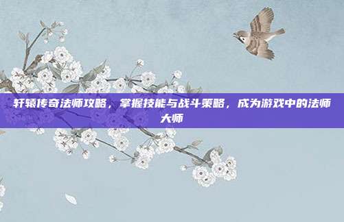 轩辕传奇法师攻略,掌握技能与战斗策略,成为游戏中的法师大师