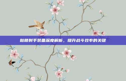 骷髅射手装备深度解析,提升战斗效率的关键
