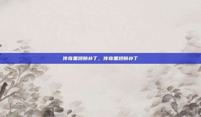 传奇黑翅膀补丁，传奇黑翅膀补丁