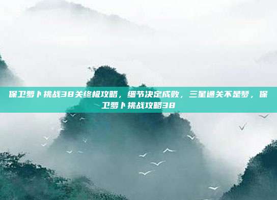 保卫萝卜挑战38关终极攻略，细节决定成败，三星通关不是梦，保卫萝卜挑战攻略38