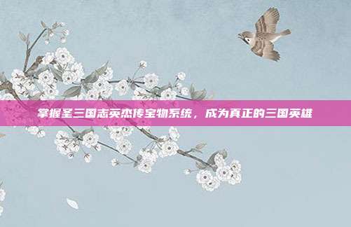 掌握圣三国志英杰传宝物系统,成为真正的三国英雄