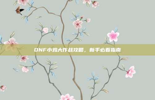 DNF小鸡大作战攻略,新手必看指南