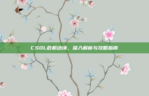 CSOL危机边缘,深入解析与攻略指南