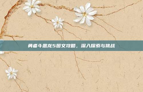 勇者斗恶龙5图文攻略，深入探索与挑战