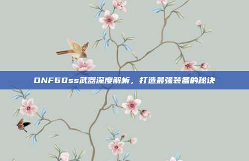 DNF60ss武器深度解析,打造最强装备的秘诀