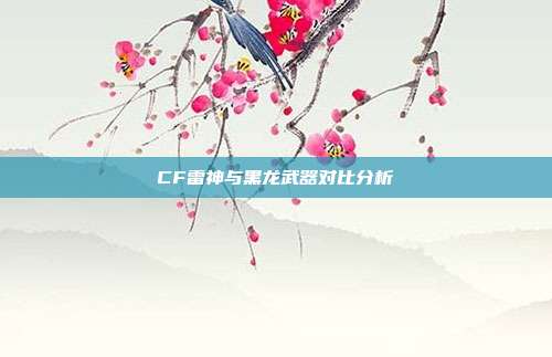 CF雷神与黑龙武器对比分析