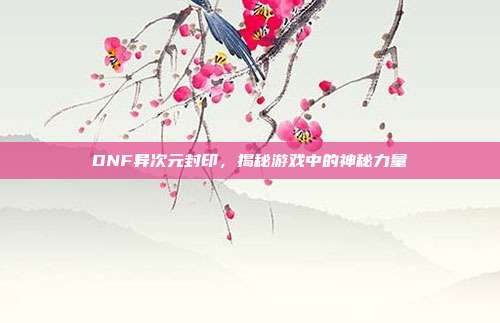 DNF异次元封印,揭秘游戏中的神秘力量