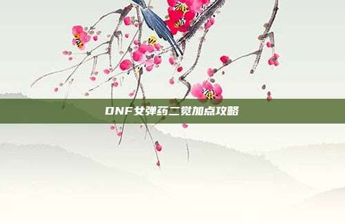 DNF女弹药二觉加点攻略