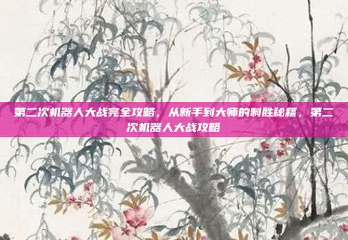 第二次机器人大战完全攻略，从新手到大师的制胜秘籍，第二次机器人大战攻略