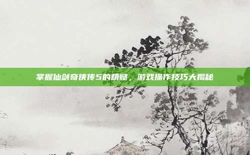 掌握仙剑奇侠传5的精髓,游戏操作技巧大揭秘