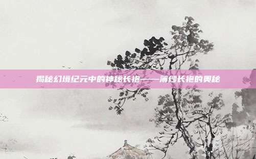 揭秘幻境纪元中的神秘长袍——薄纱长袍的奥秘