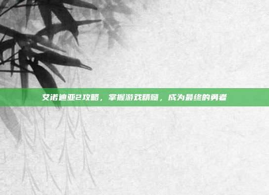 艾诺迪亚2攻略，掌握游戏精髓，成为最终的勇者