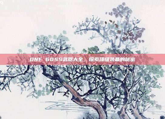 DNF 60SS武器大全,探索顶级装备的秘密