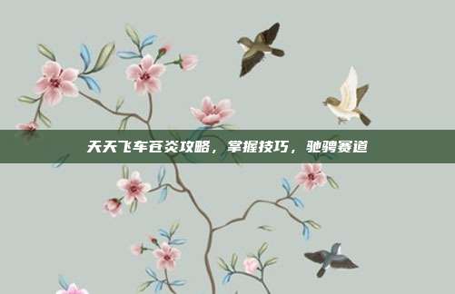 天天飞车苍炎攻略，掌握技巧，驰骋赛道