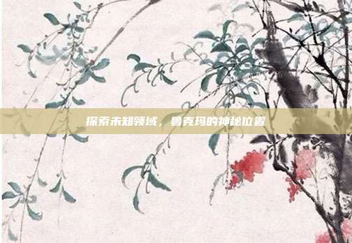 探索未知领域，鲁克玛的神秘位置
