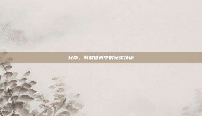 兄华，游戏世界中的兄弟情深