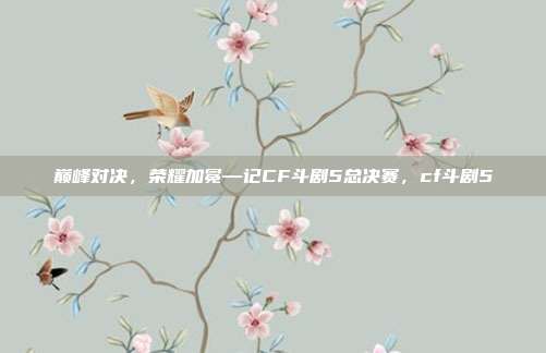 巅峰对决，荣耀加冕—记CF斗剧5总决赛，cf斗剧5