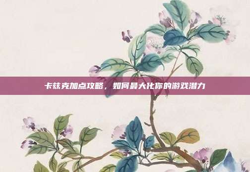 卡兹克加点攻略,如何最大化你的游戏潜力