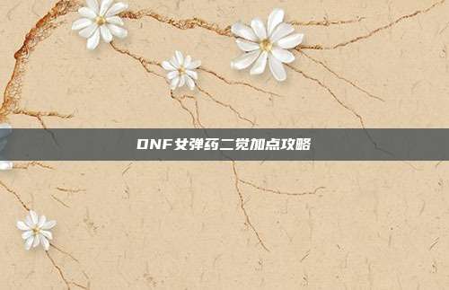DNF女弹药二觉加点攻略