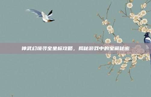 神武幻境寻宝坐标攻略,揭秘游戏中的宝藏秘密