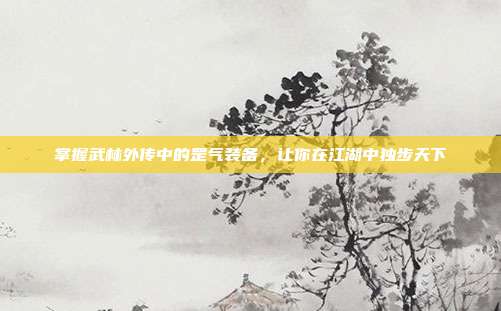 掌握武林外传中的罡气装备,让你在江湖中独步天下