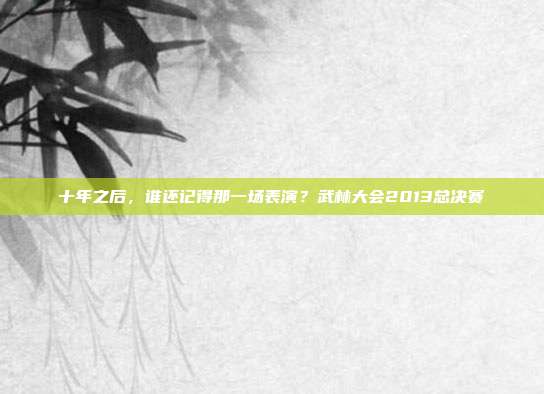 十年之后，谁还记得那一场表演？武林大会2013总决赛