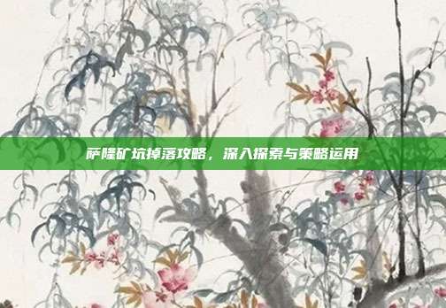 萨隆矿坑掉落攻略,深入探索与策略运用