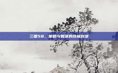 三国58,策略与智谋的终极对决