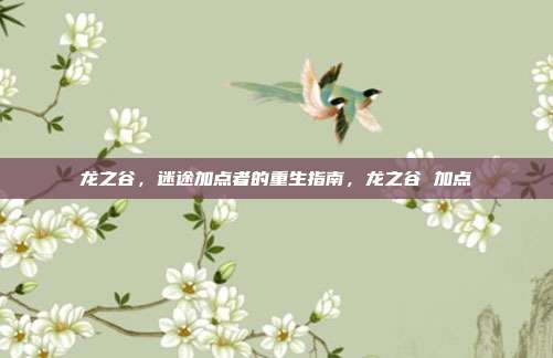 龙之谷，迷途加点者的重生指南，龙之谷 加点