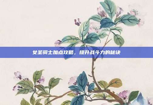 女圣骑士加点攻略,提升战斗力的秘诀