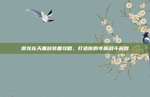 御龙在天重剑装备攻略，打造你的专属战斗利器