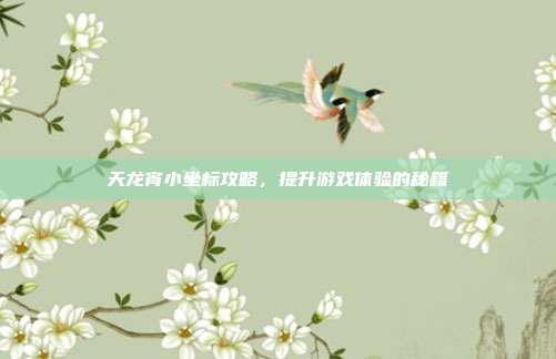天龙宵小坐标攻略,提升游戏体验的秘籍