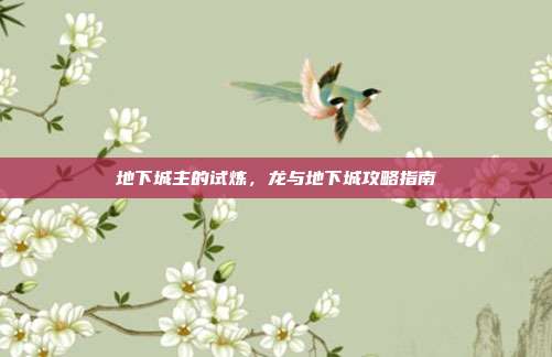 地下城主的试炼,龙与地下城攻略指南