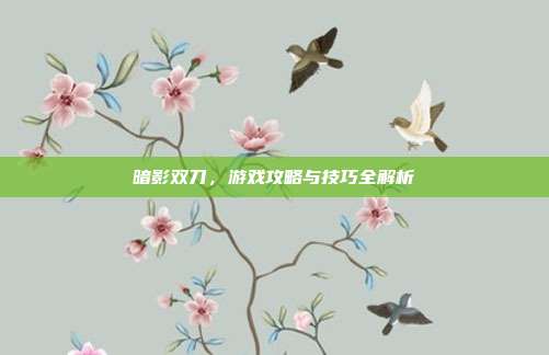 暗影双刀,游戏攻略与技巧全解析