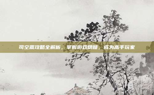 司空震攻略全解析,掌握游戏精髓,成为高手玩家
