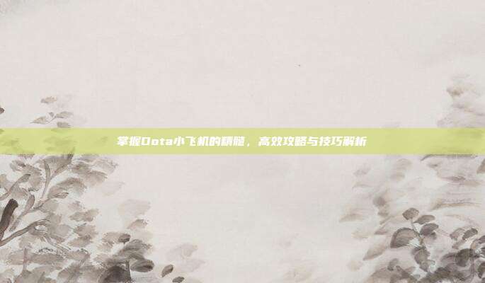 掌握Dota小飞机的精髓,高效攻略与技巧解析