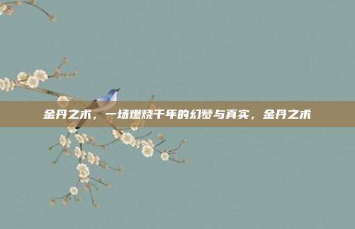 金丹之术，一场燃烧千年的幻梦与真实，金丹之术