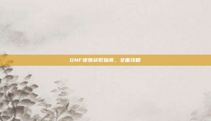 DNF宠物获取指南,全面攻略