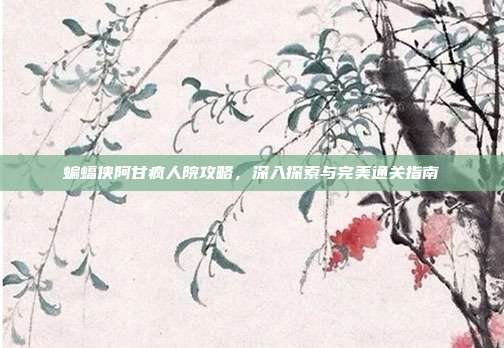 蝙蝠侠阿甘疯人院攻略，深入探索与完美通关指南