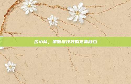 区小队,策略与技巧的完美融合